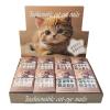 12PCS Paper Box Cat Eye Nail Tips 2