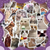 300张猫meme贴纸可爱搞笑鬼畜猫咪ins风表情包梗图素材手账本贴画